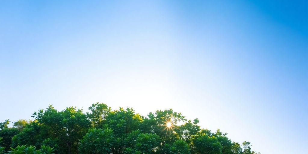 Lush green forest under a clear blue sky.